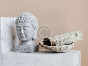 anesta-product-copyright (9)